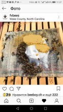  Скорая помощь: Сухая подкормка пчёл. - Screenshot_20190113-113758.jpg